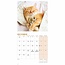 Cat Naps Mini Calendar 2025