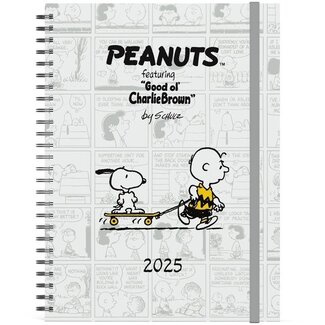 Lannoo Snoopy - Peanuts-Büro Agenda 2025