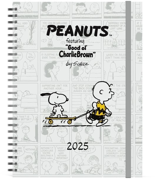 Lannoo Snoopy PeanutsBüro Agenda 2025