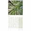 Scenic Woodland Kalender 2025