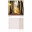 Calendrier Scenic Woodland 2025