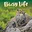 Der Busy Life Family Planner 2025