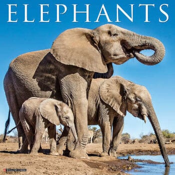 Elephant calendar