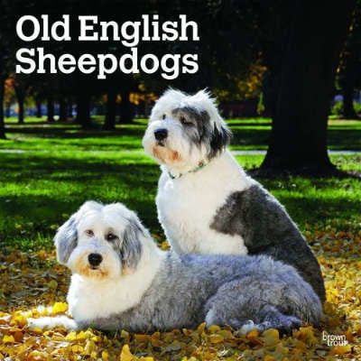 Old English Sheepdog Kalenders