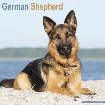 German Shepherd Calendars