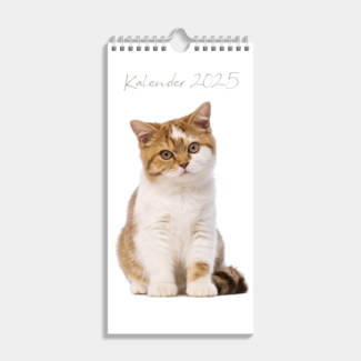 De Hobbit Cats Mini Calendar 2025