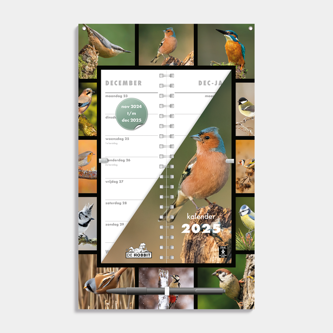 Birds Cover Calendar 2025