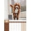 Cavapoo A3 Calendar 2025