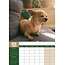 Chihuahua A3 Calendar 2025