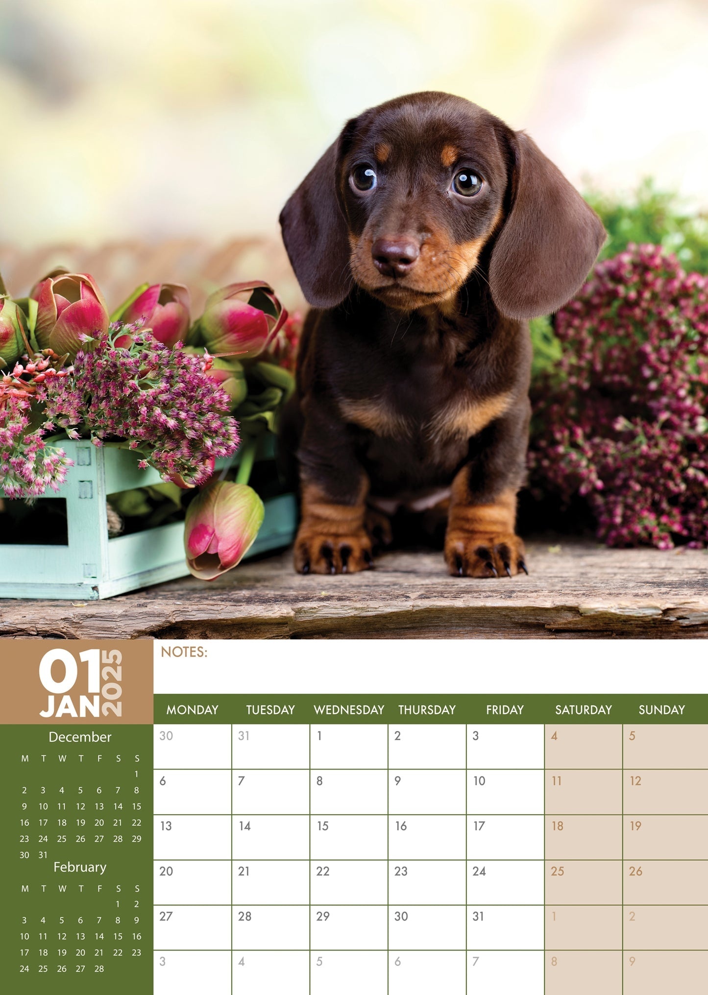 Calendrier De L'Avent 2025 En Forme De Teckel - 24 Décorations En Acrylique De 8 Cm, Pour Sapin Ou Compte à Rebours De Noël