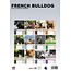 Calendario A3 Bulldog francese 2025