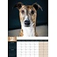 Calendrier Greyhound A3 2025