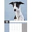 Calendrier Greyhound A3 2025