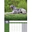 Irish Wolfhound A3 Kalender 2025