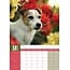 Jack Russel Terrier A3 Kalender 2025