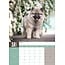 Calendario Keeshond A3 2025