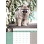 Keeshond A3 Kalender 2025