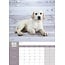 Calendario A3 Labrador Retriever biondo 2025