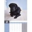 Calendario A3 nero del Labrador Retriever 2025