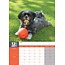 Lhasa Apso A3 Kalender 2025