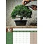 Bonsai Calendar 2025