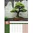 Calendario Bonsai 2025