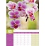 Calendrier des orchidées 2025