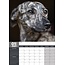 Lurcher A3 Kalender 2025