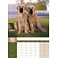 Calendario A3 Mastino Inglese 2025