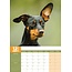 Calendario A3 Miniature Pinscher 2025