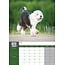 Bobtail / Old English Sheepdog A3 Kalender 2025