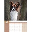 Papillon A3 Kalender 2025