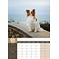 Papillon A3 Kalender 2025