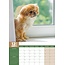 Pekinese A3 Kalender 2025