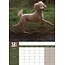 Caniche Calendrier A3 2025