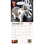 Larry the Cat - Chief Mouser Kalender 2025