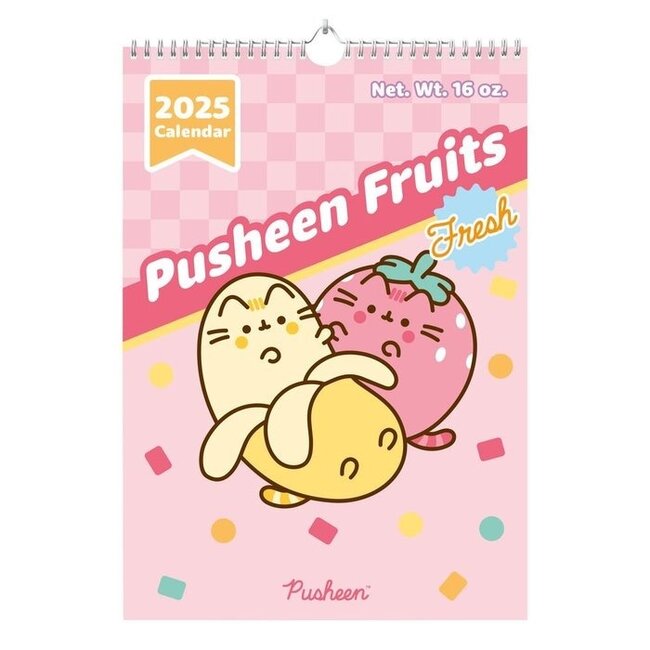 Calendrier Pusheen 2025 A3