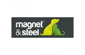 Magnet & Steel