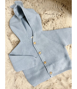 Wedoble: Babykleding Vestje fijn gebreid met capuchon (blauw) - Wedoble