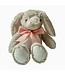 Little Mack : Overige merken Teddy Konijn met strik - Little Mack