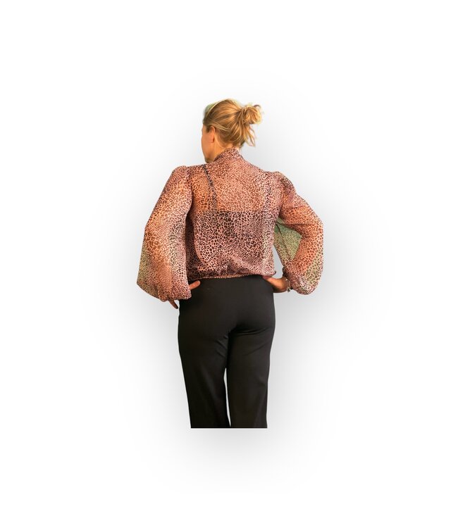 J’AIME Blouse met panterprint en kraag met strik
