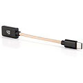 iFi Audio OTG USB-C