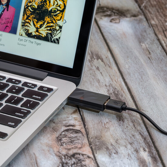 SilentPower iSilencer+