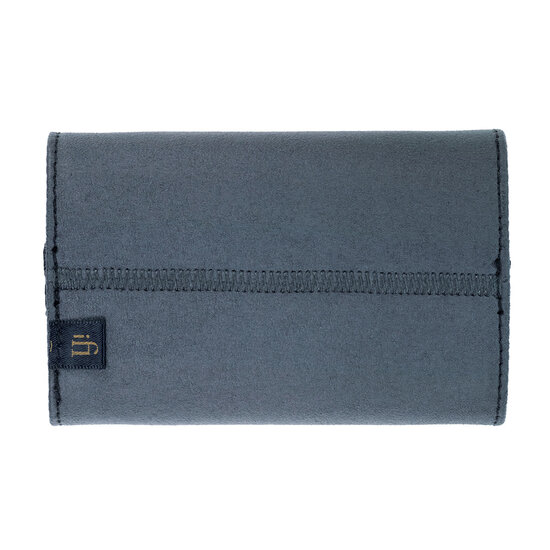 iFi Audio xDSD Gryphon Case