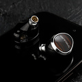 Sivga Nightingale