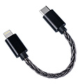 FIIO LT-LT2