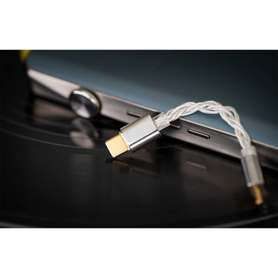iBasso CB18 USB-C to USB-C OTG Cable