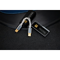 iBasso CB18 USB-C to USB-C OTG Cable