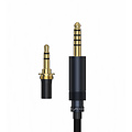 FIIO LL-RD 2024