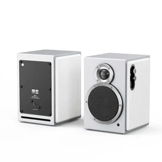FIIO SA1